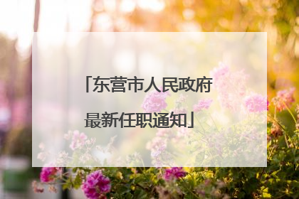 东营市人民政府最新任职通知