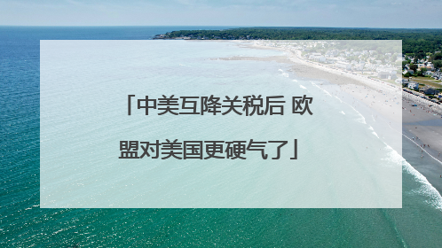中美互降关税后 欧盟对美国更硬气了