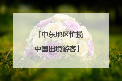 中东地区忙揽中国出境游客