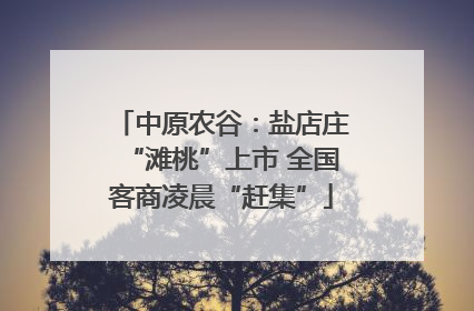 中原农谷：盐店庄“滩桃”上市 全国客商凌晨“赶集”