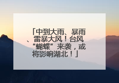 中到大雨、暴雨、雷暴大风！台风“蝴蝶”来袭，或将影响湖北！