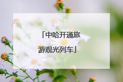 中哈开通旅游观光列车