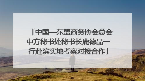 中国—东盟商务协会总会中方秘书处秘书长鹿德晶一行赴滨实地考察对接合作