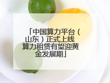 中国算力平台（山东）正式上线 算力租赁有望迎黄金发展期