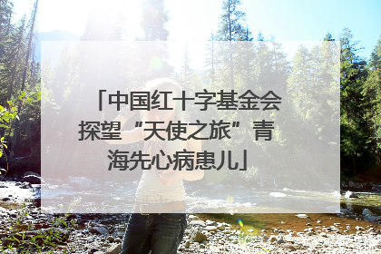 中国红十字基金会探望“天使之旅”青海先心病患儿
