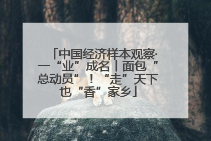 中国经济样本观察·一“业”成名丨面包“总动员”！“走”天下也“香”家乡