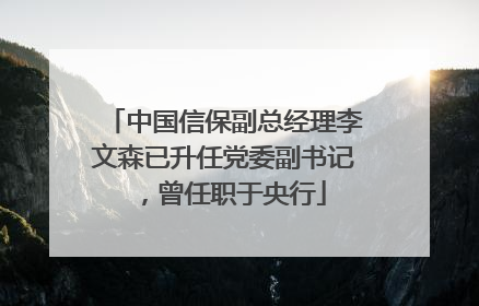 中国信保副总经理李文森已升任党委副书记，曾任职于央行