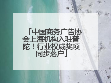 中国商务广告协会上海机构入驻普陀！行业权威奖项同步落户