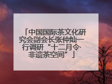 中国国际茶文化研究会副会长张仲灿一行调研“十二月令·非遗茶空间”