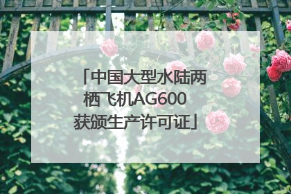 中国大型水陆两栖飞机AG600获颁生产许可证