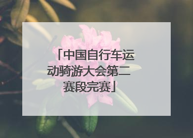 中国自行车运动骑游大会第二赛段完赛