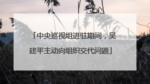 中央巡视组进驻期间，吴建平主动向组织交代问题