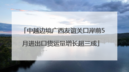 中越边境广西友谊关口岸前5月进出口货运量增长超三成