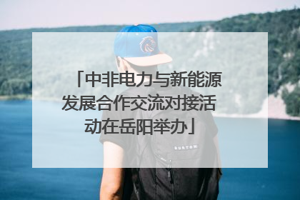 中非电力与新能源发展合作交流对接活动在岳阳举办