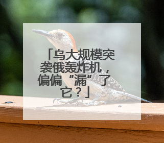 乌大规模突袭俄轰炸机，偏偏“漏”了它？