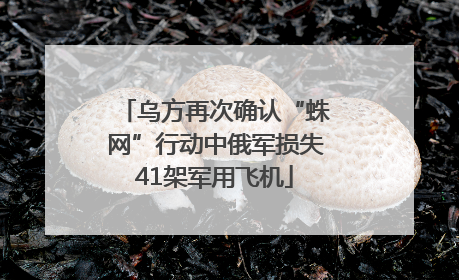 乌方再次确认“蛛网”行动中俄军损失41架军用飞机