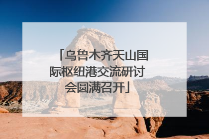 乌鲁木齐天山国际枢纽港交流研讨会圆满召开