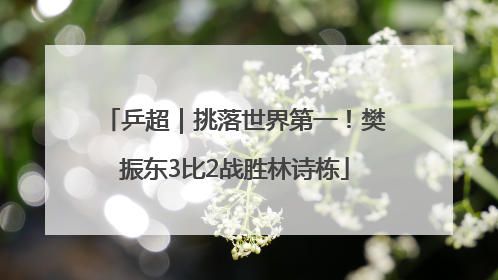 乒超｜挑落世界第一！樊振东3比2战胜林诗栋