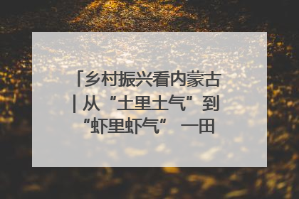 乡村振兴看内蒙古｜从“土里土气”到“虾里虾气” 一田双收模式火出圈