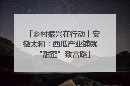 乡村振兴在行动丨安徽太和：西瓜产业铺就“甜蜜”致富路
