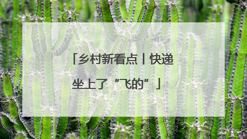 乡村新看点丨快递坐上了“飞的”