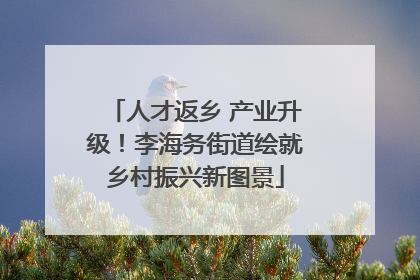 人才返乡 产业升级！李海务街道绘就乡村振兴新图景