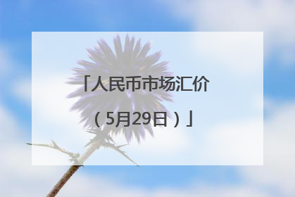 人民币市场汇价（5月29日）
