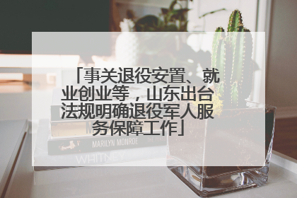 事关退役安置、就业创业等，山东出台法规明确退役军人服务保障工作