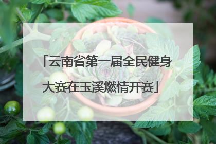 云南省第一届全民健身大赛在玉溪燃情开赛