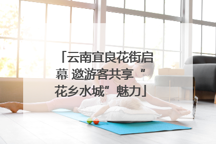 云南宜良花街启幕 邀游客共享“花乡水城”魅力