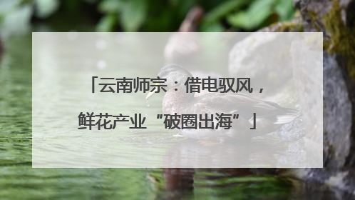云南师宗：借电驭风，鲜花产业“破圈出海”