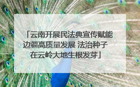 云南开展民法典宣传赋能边疆高质量发展 法治种子在云岭大地生根发芽