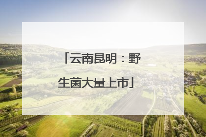 云南昆明：野生菌大量上市