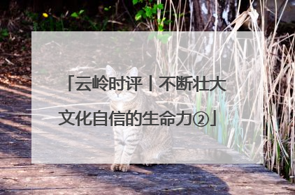 云岭时评丨不断壮大文化自信的生命力②