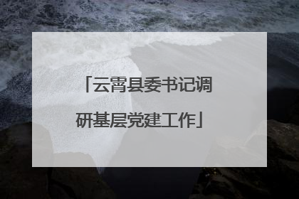 云霄县委书记调研基层党建工作