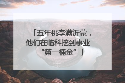 五年桃李满沂蒙，他们在临科挖到事业“第一桶金”