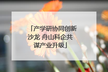 产学研协同创新沙龙 舟山科企共谋产业升级