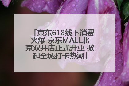 京东618线下消费火爆 京东MALL北京双井店正式开业 掀起全城打卡热潮