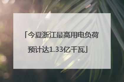 今夏浙江最高用电负荷预计达1.33亿千瓦