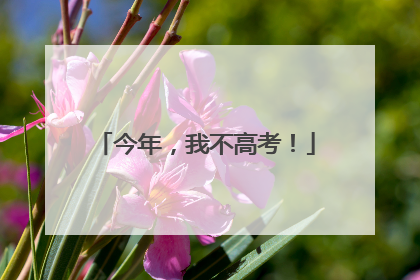 今年，我不高考！