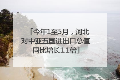 今年1至5月，河北对中亚五国进出口总值同比增长1.1倍