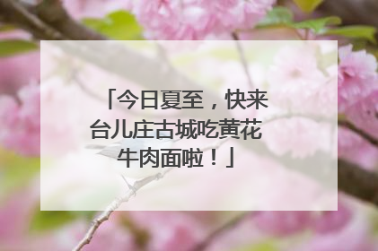 今日夏至，快来台儿庄古城吃黄花牛肉面啦！