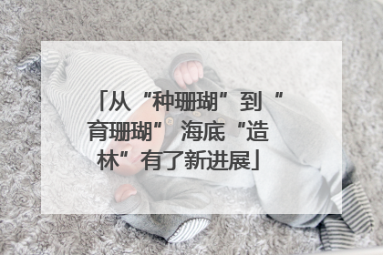 从“种珊瑚”到“育珊瑚” 海底“造林”有了新进展