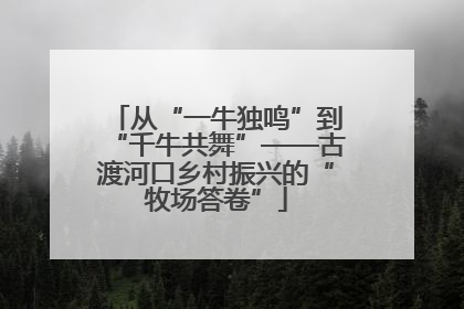 从“一牛独鸣”到“千牛共舞”——古渡河口乡村振兴的“牧场答卷”