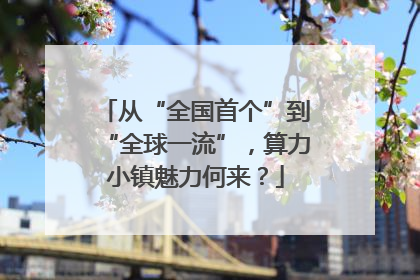 从“全国首个”到“全球一流”，算力小镇魅力何来？