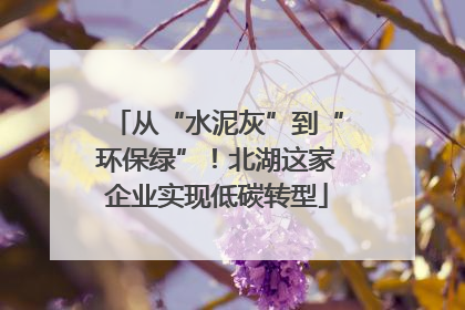从“水泥灰”到“环保绿”！北湖这家企业实现低碳转型