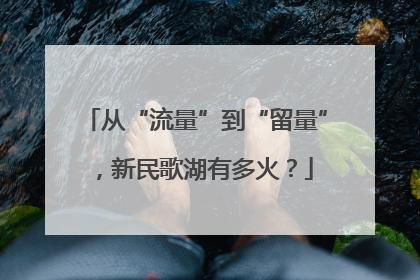 从“流量”到“留量”，新民歌湖有多火？