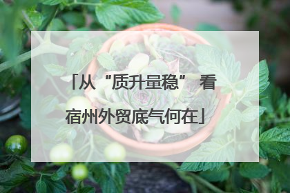 从“质升量稳” 看宿州外贸底气何在