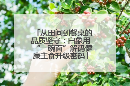 从田间到餐桌的品质坚守：白象用“一碗面”解码健康主食升级密码