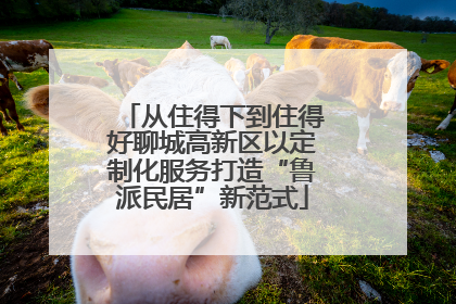 从住得下到住得好聊城高新区以定制化服务打造“鲁派民居”新范式